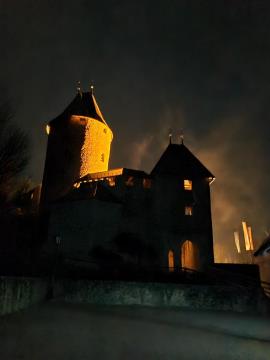 Grad Žovnek v zlati barvi 